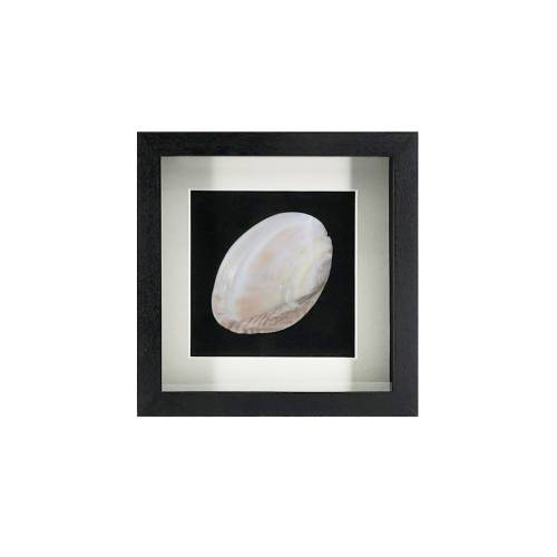 TABLEAU DIANA NACRE