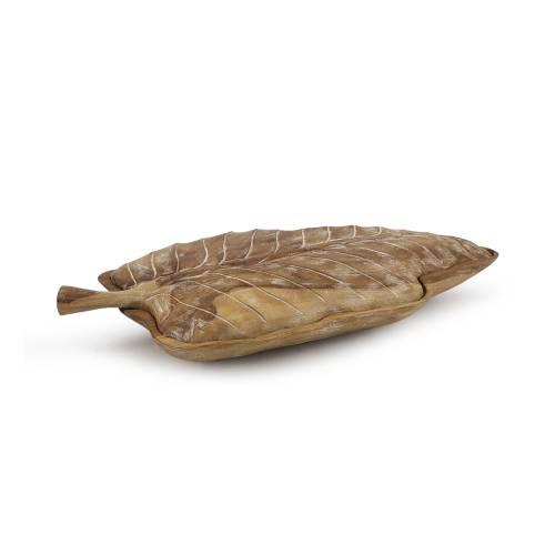 BOITE EROSI FEUILLE