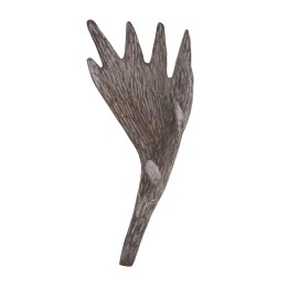 Corne d'élan bois : Meuble en bois massif contemporain unique.