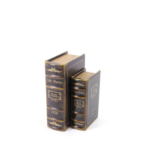 LIVRE SIMILICUIR AGE OF INNOCENCE S/2