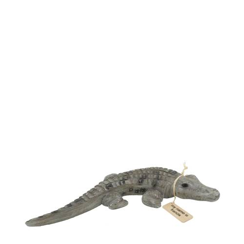 CROCODILE FRANCIS