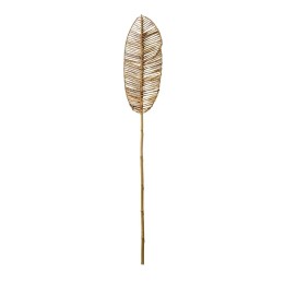 Canne Naturelle Davos avec Feuille en Bois pour Salon Contemporain.