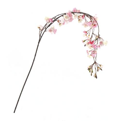 FLEUR DE PECHE GOLDEN ROSE