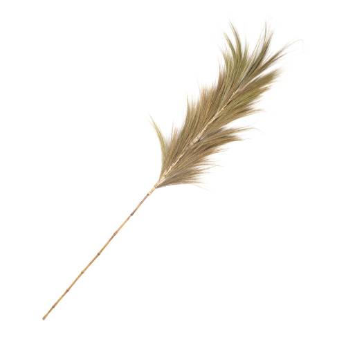 BRANCHE NATUREL RAYUNG