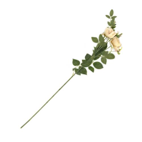 BRANCHE ROSES GRACE ORANGE