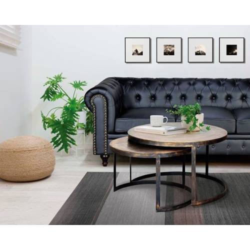 SET DE 2 TABLE BASSE