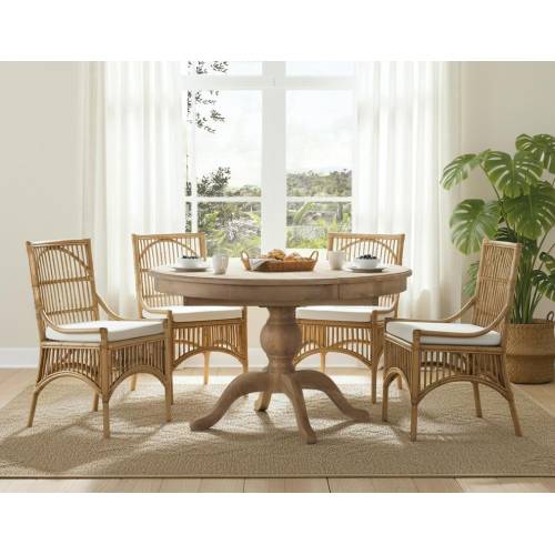 ENSEMBLE DE 2 CHAISES