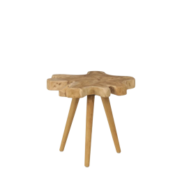 Table en Bois de Teck pour Salon